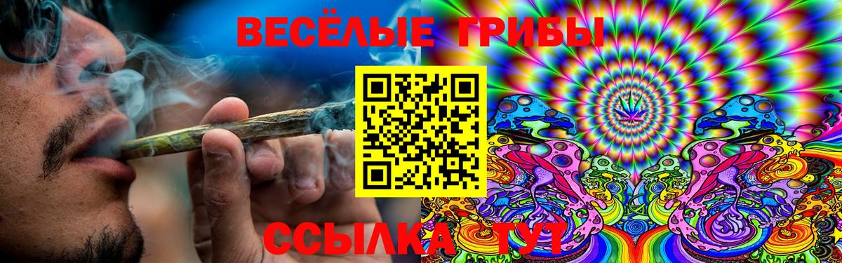 закладки  Галлюциногенные грибы Magic Shrooms  Галлюциногенные грибы Psilocybe  Вход с VPN  Майский 