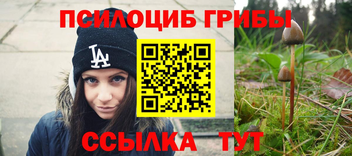 Псилоцибиновые грибы GOLDEN TEACHER Майский